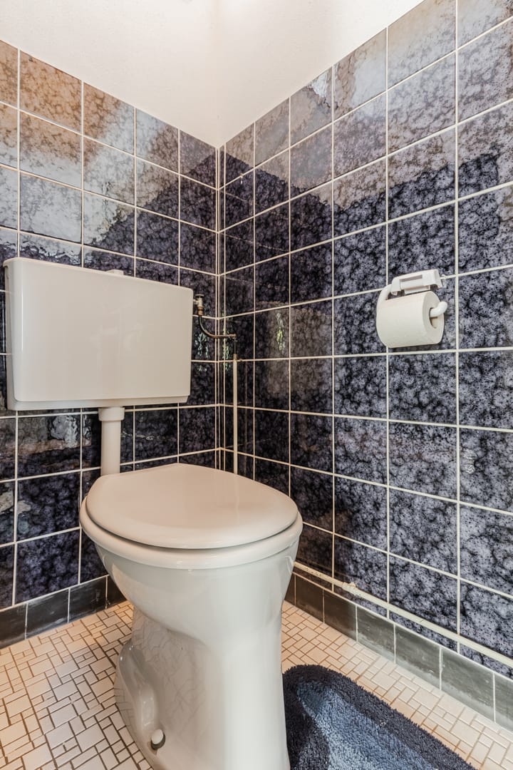 Foto 9 van Oranjelaan 2