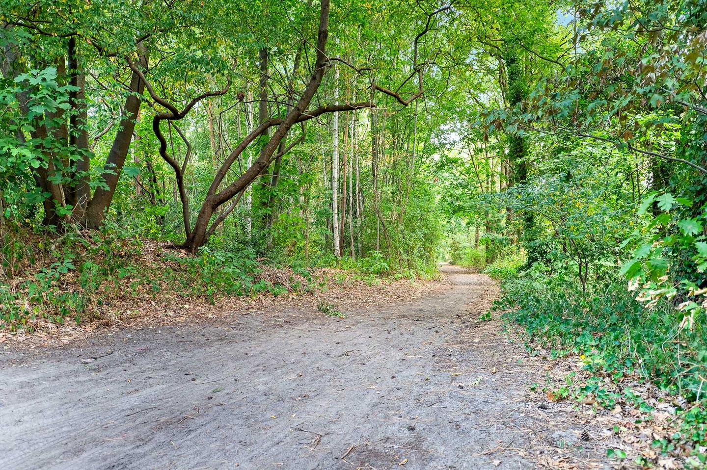 Foto 44 van Hollandseweg 18