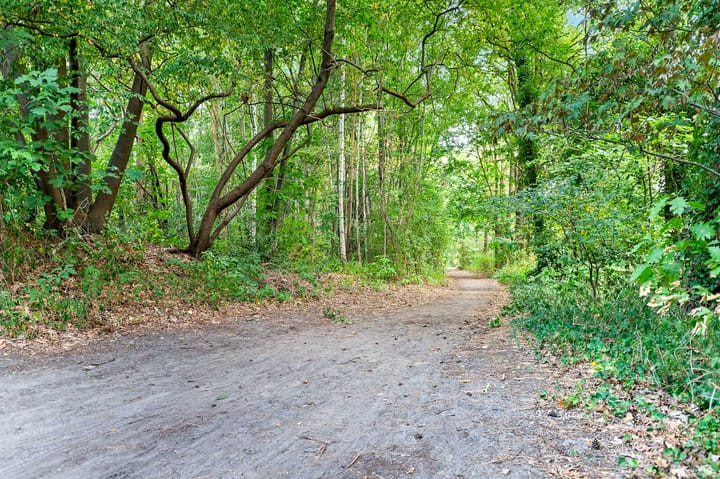 Foto 44 van Hollandseweg 18