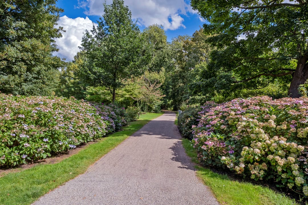 Foto 47 van Tjerk Bolhuisstraat 20