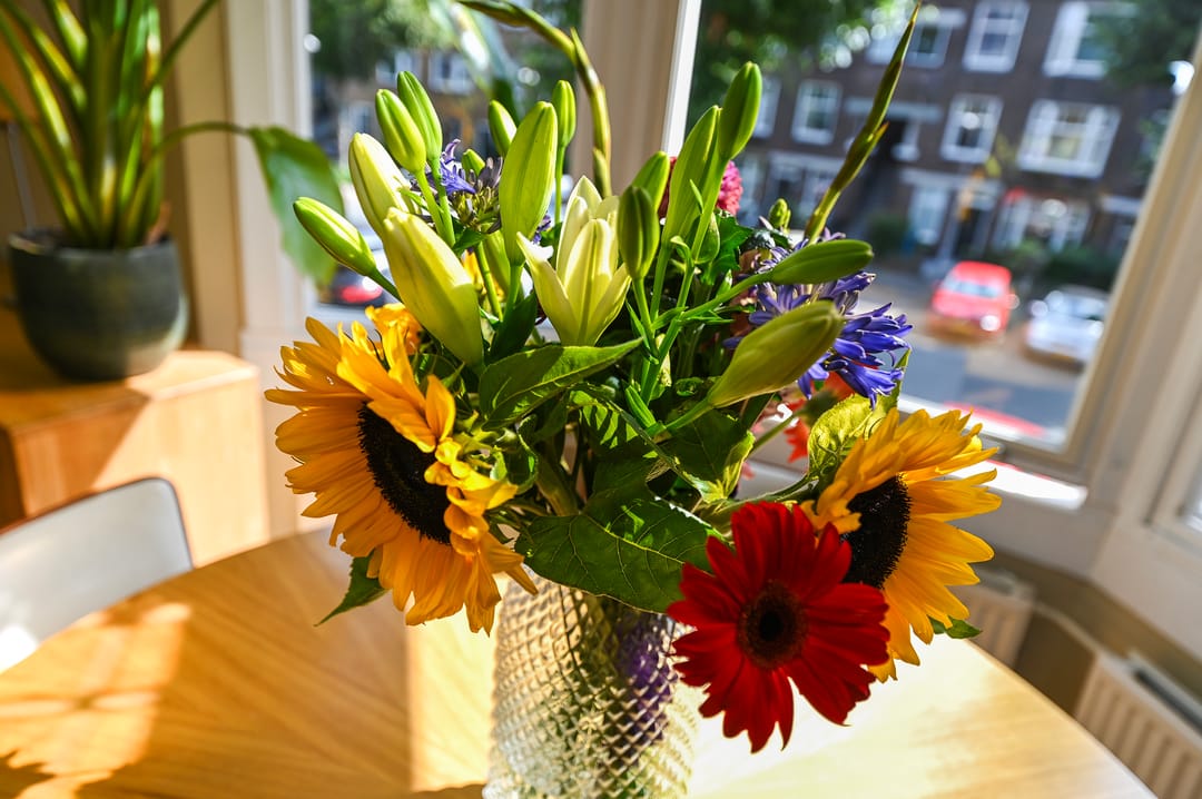 Foto 16 van van de Wateringelaan 163