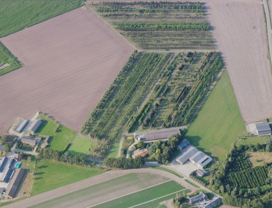 Bekijk foto 2 van Teeuwenhofweg