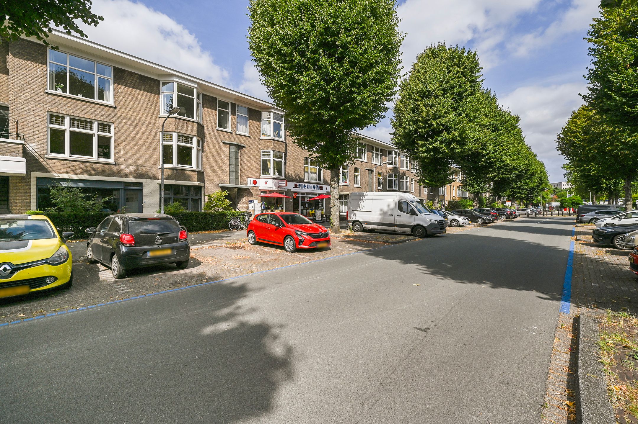 Foto 42 van van de Wateringelaan 163