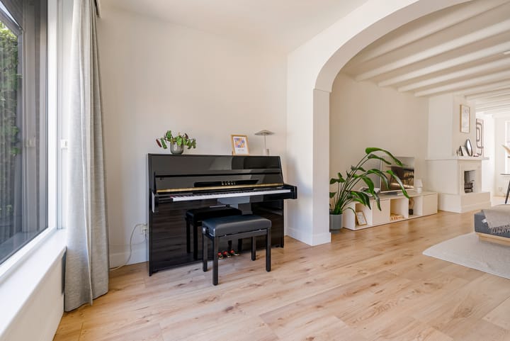 Foto 11 van Abraham Bloemaertstraat 20