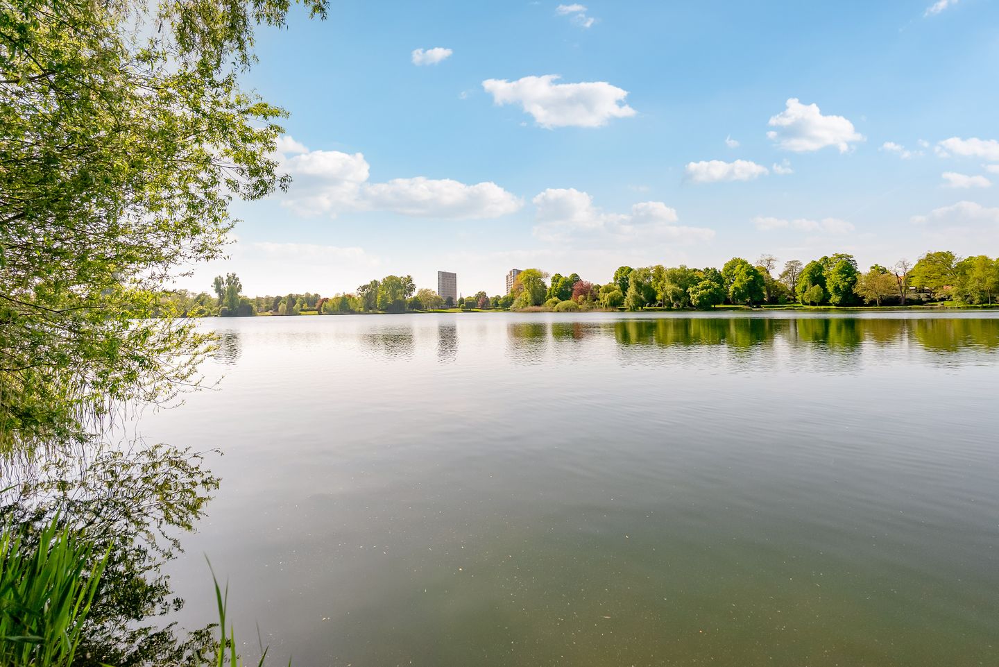 Photo 29 of Abraham Bloemaertstraat 20