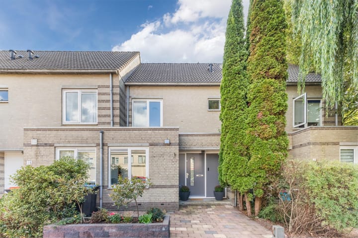 Foto 1 van Kuifmees 21