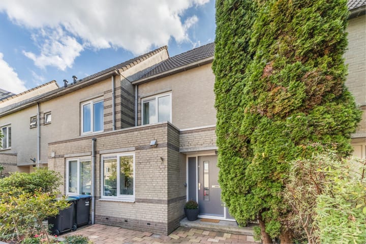 Foto 30 van Kuifmees 21