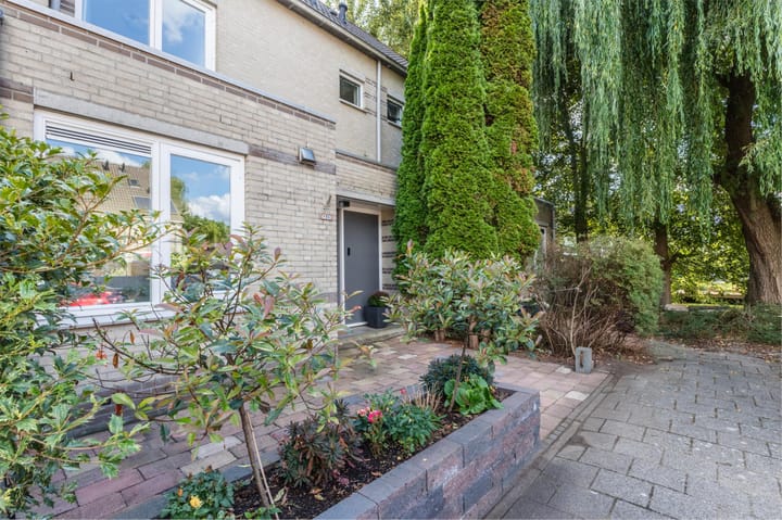 Foto 31 van Kuifmees 21