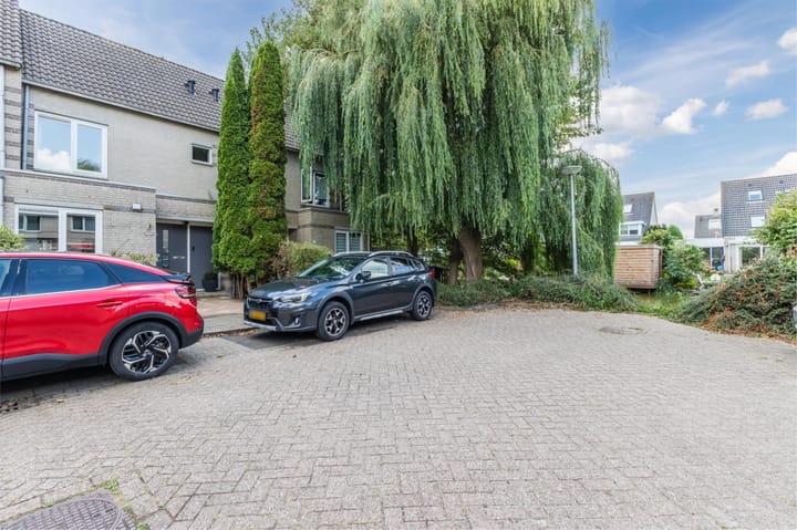 Foto 33 van Kuifmees 21