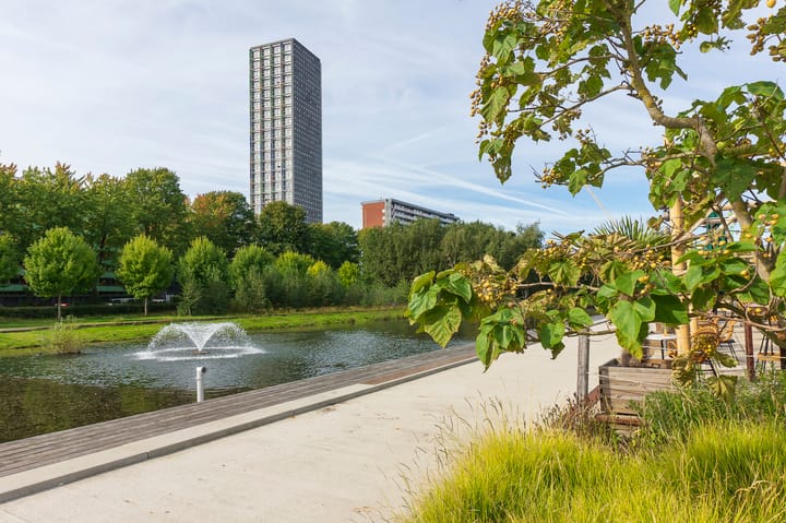 Foto 51 van Westpoint 118