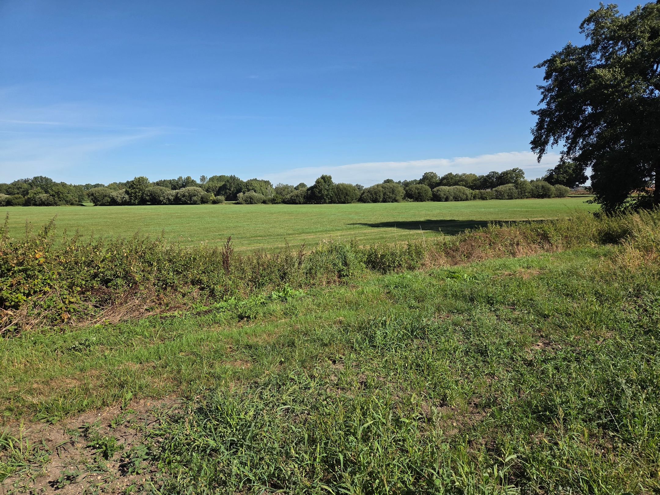 Foto 3 van Steenkampweg (kavel 1)