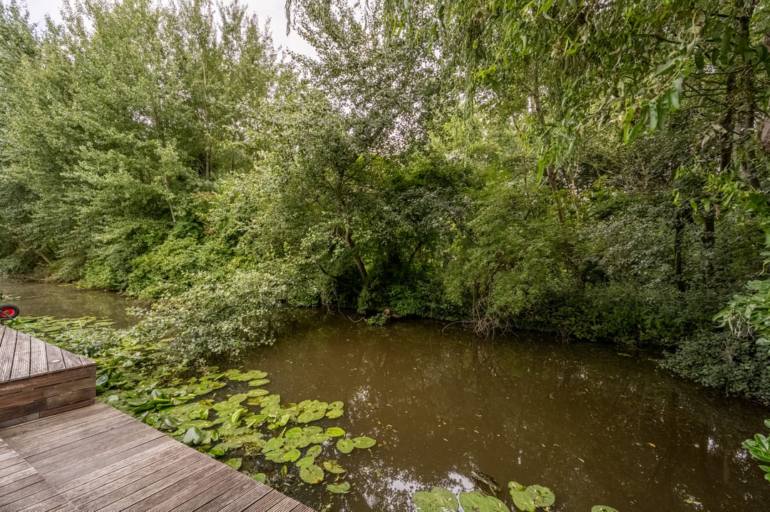 Photo 47 of Bernard de la Faillebocht 20