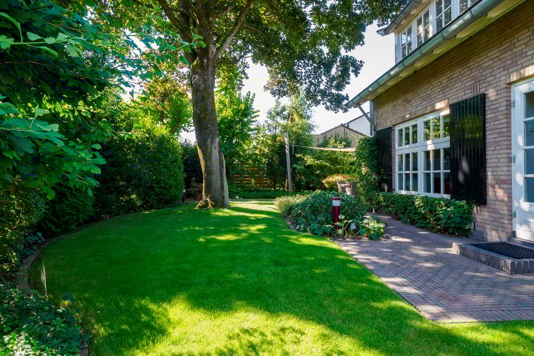 Photo 53 of Swammerdamstraat 6