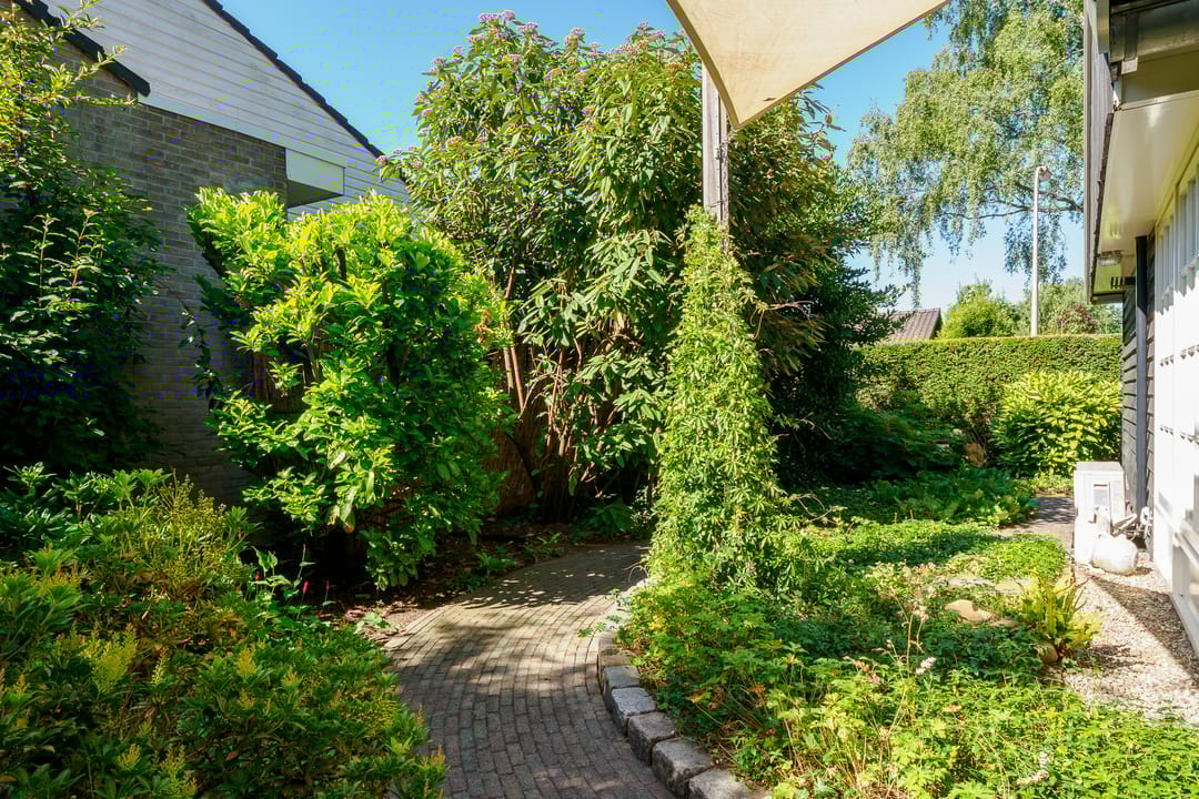 Photo 56 of Swammerdamstraat 6