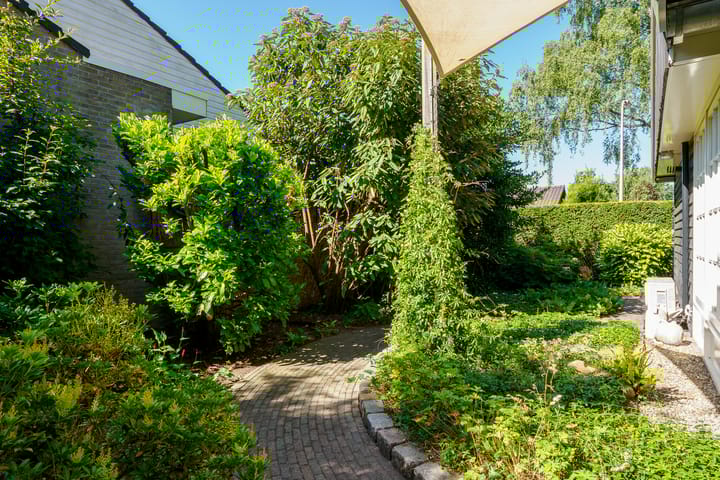 Foto 56 van Swammerdamstraat 6