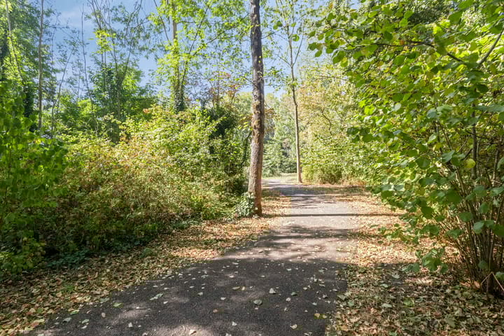 Foto 32 van Anna Paulownaplein 27