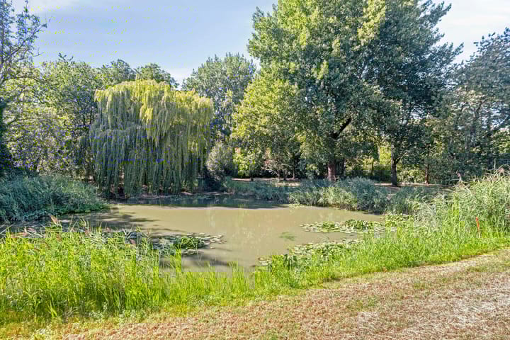 Foto 34 van Anna Paulownaplein 27