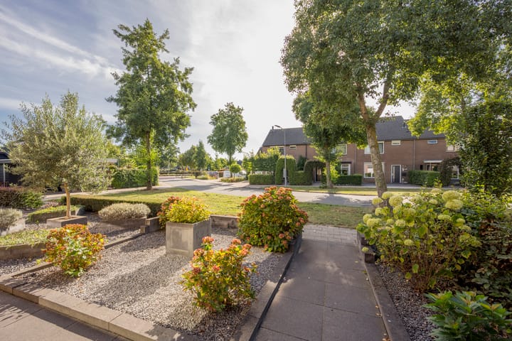 Foto 36 van Wouter Blomstraat 44