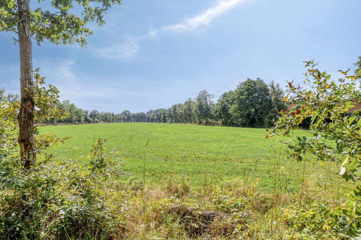 Foto 4 van de Ring 31