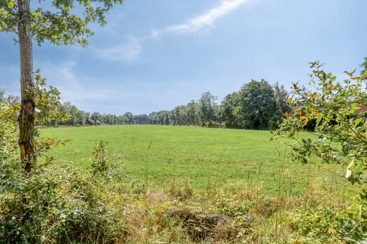 Foto 4 van de Ring 31