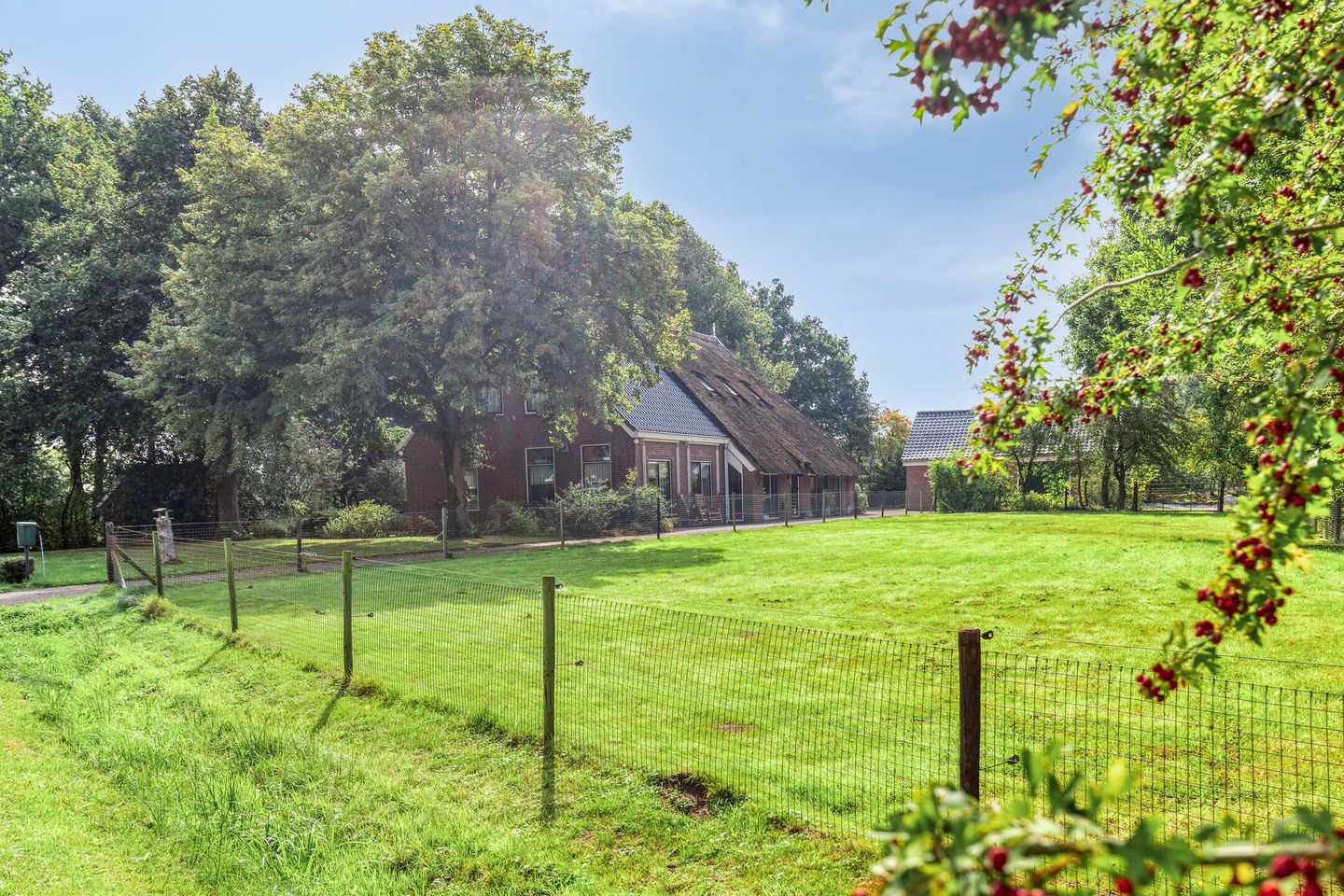 Foto 5 van de Ring 31