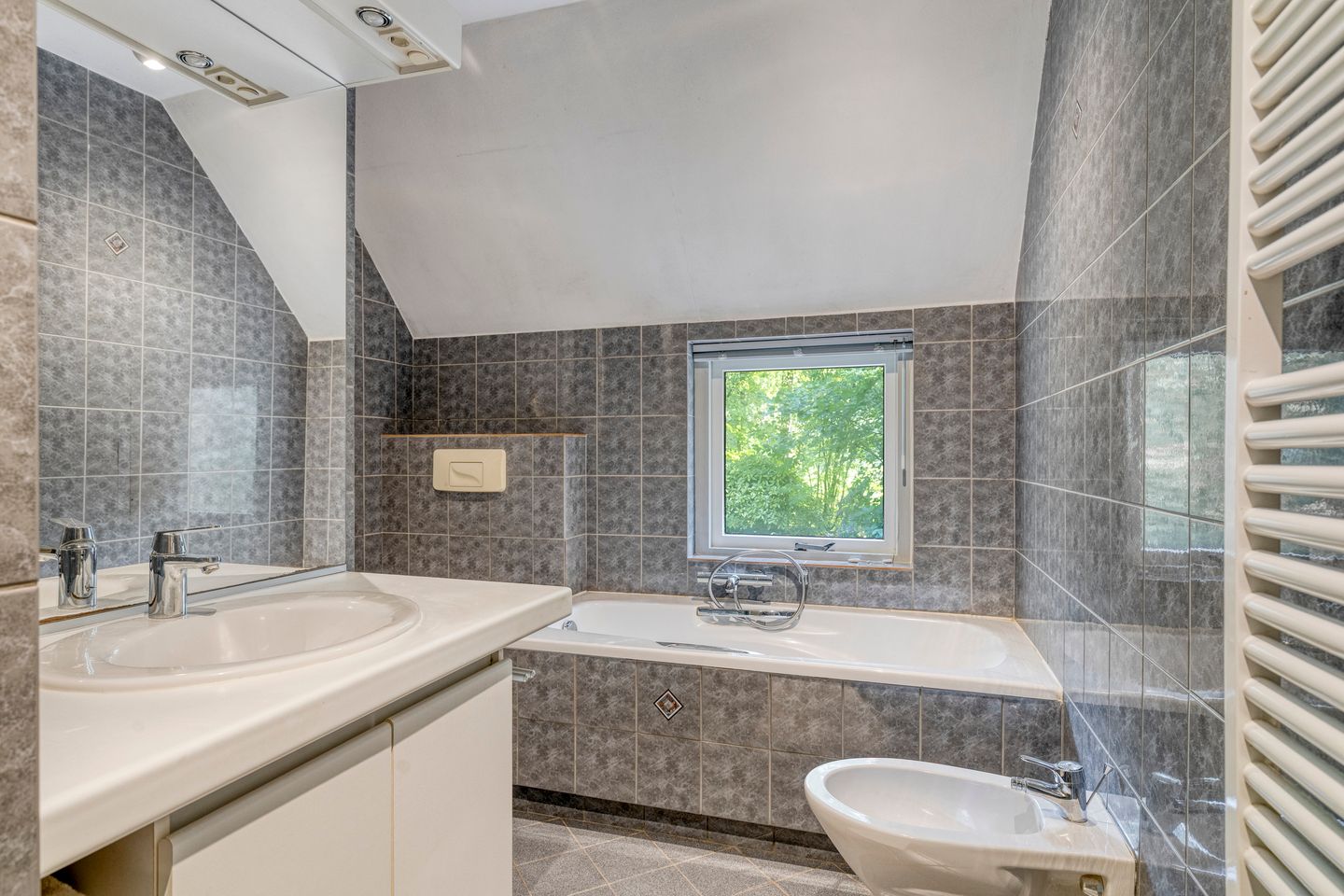 Foto 20 van de Ring 31