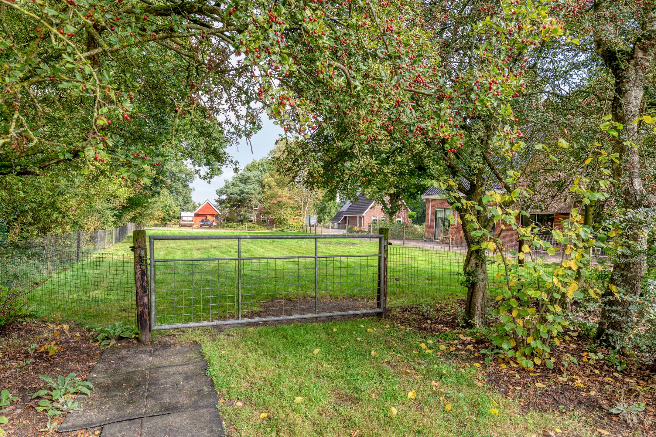 Foto 45 van de Ring 31