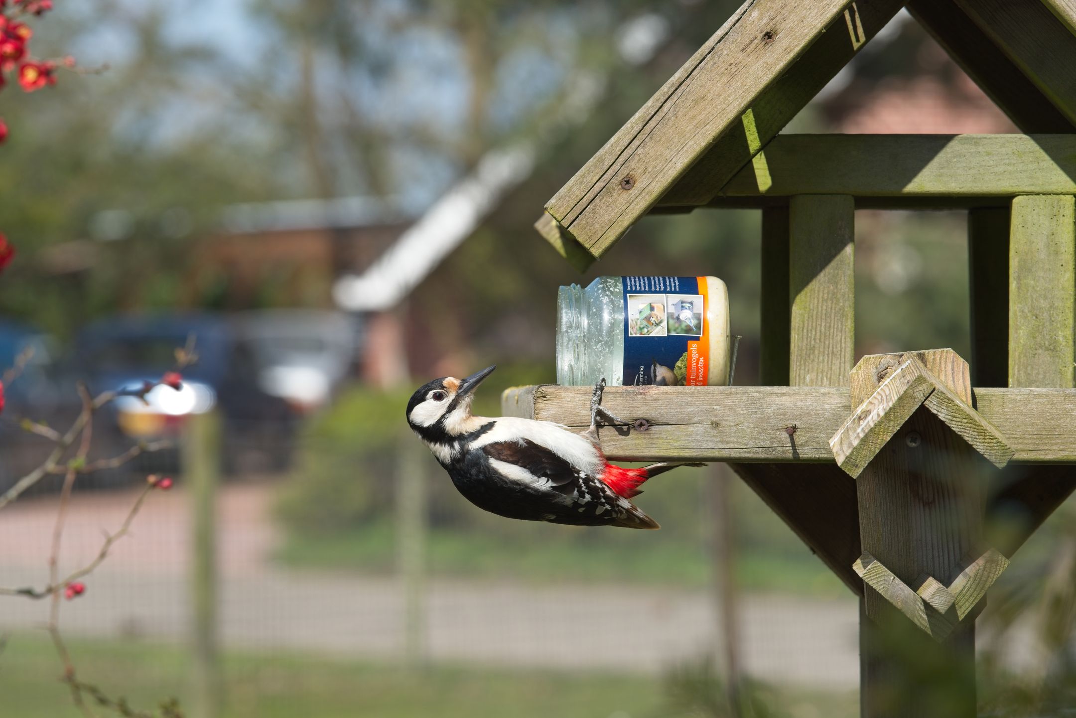 Foto 51 van de Ring 31