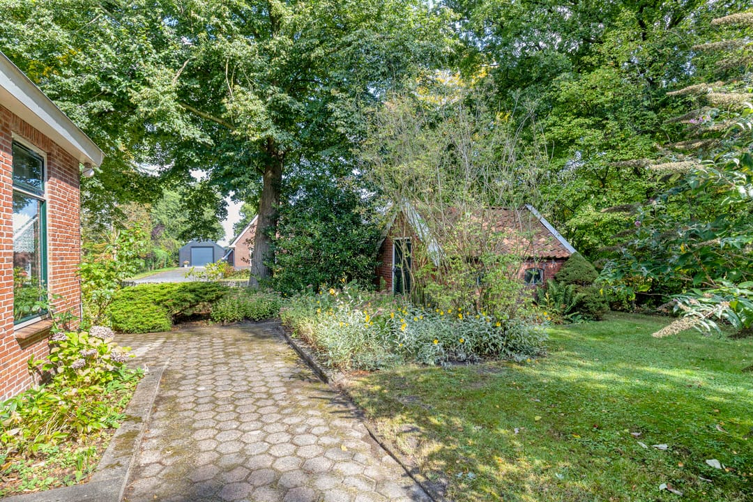 Foto 53 van de Ring 31