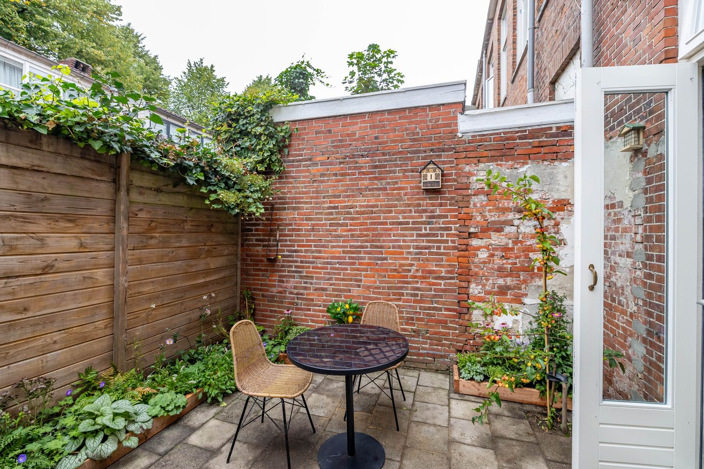 Foto 34 van Tweede Willemstraat 14