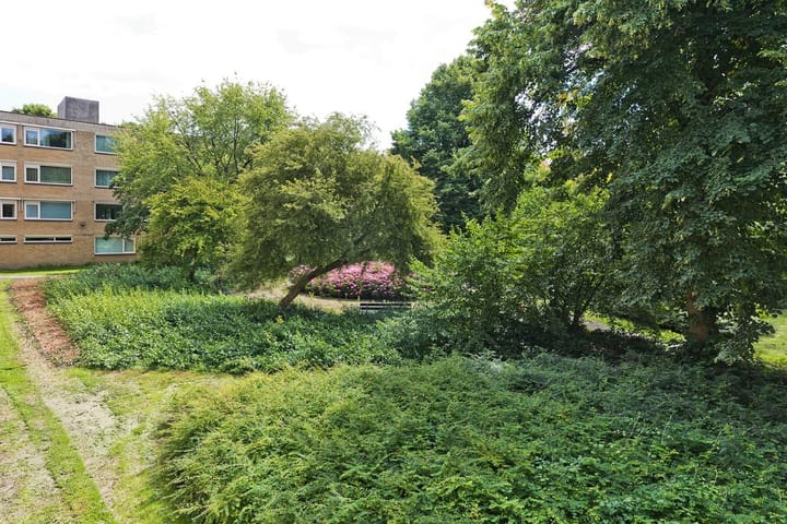 Foto 4 van Gijsbrecht van IJselsteinstraat 235