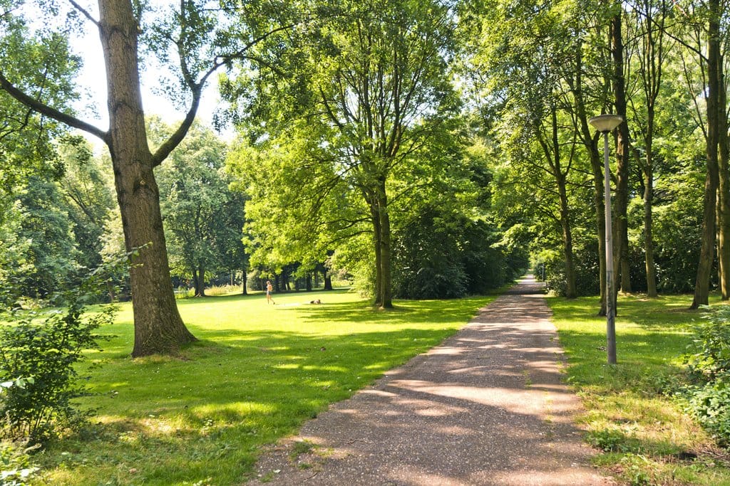 Foto 18 van Gijsbrecht van IJselsteinstraat 235