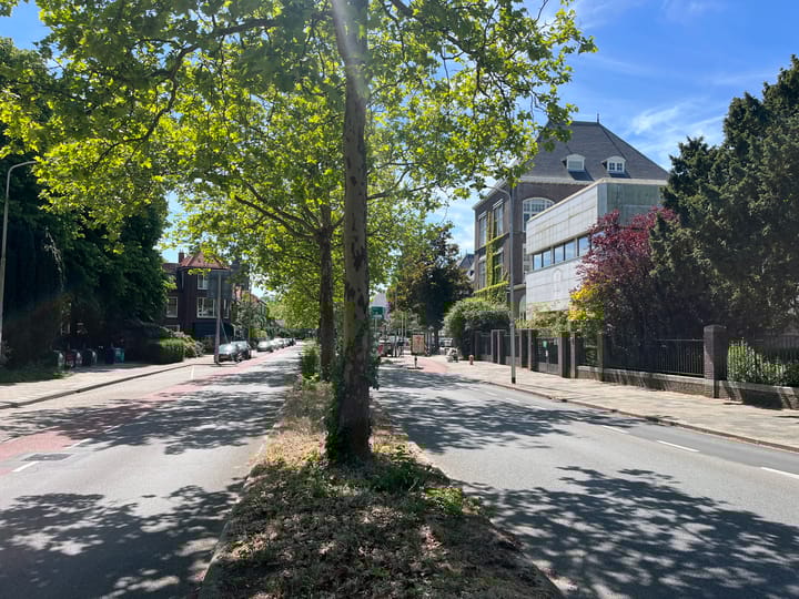 Foto 46 van Julianalaan 65-B