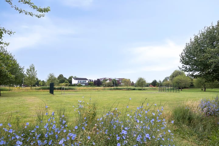 Photo 61 of Fioringras 57