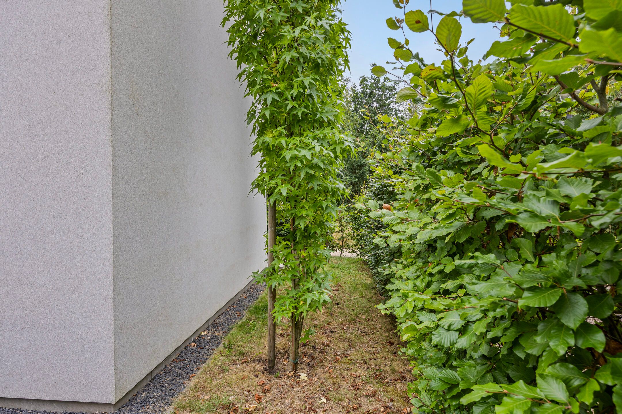 Foto 30 van Waterwijk 33-A