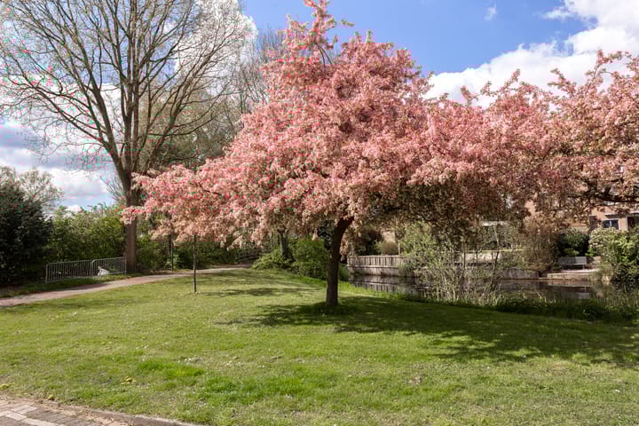 Foto 25 van Benedictijnenhove 115