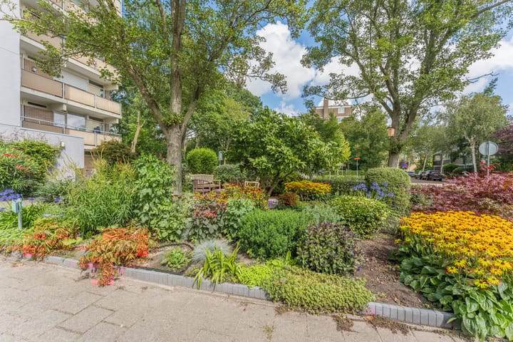 Foto 6 van Frans Halslaan 185