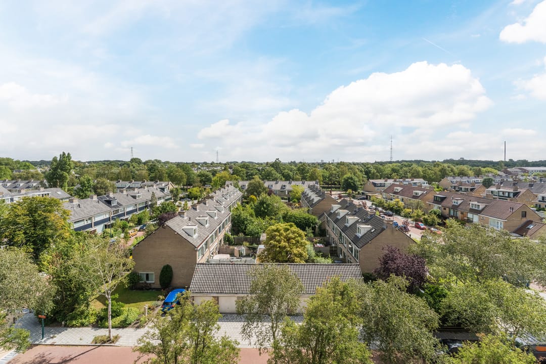 Photo 11 of Frans Halslaan 185