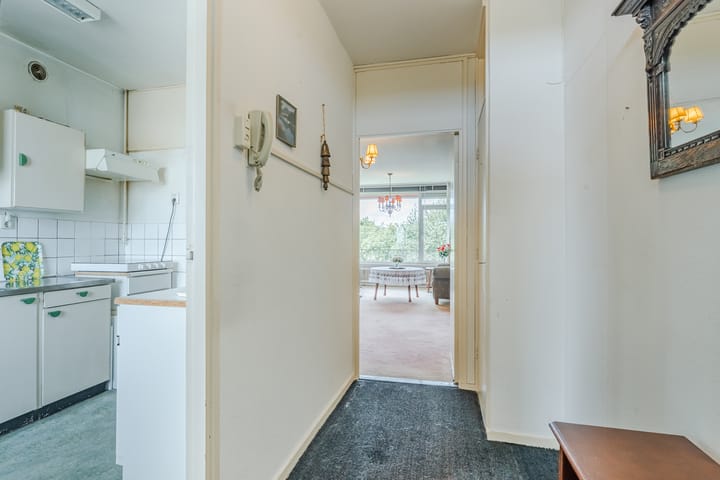 Foto 18 van Frans Halslaan 185