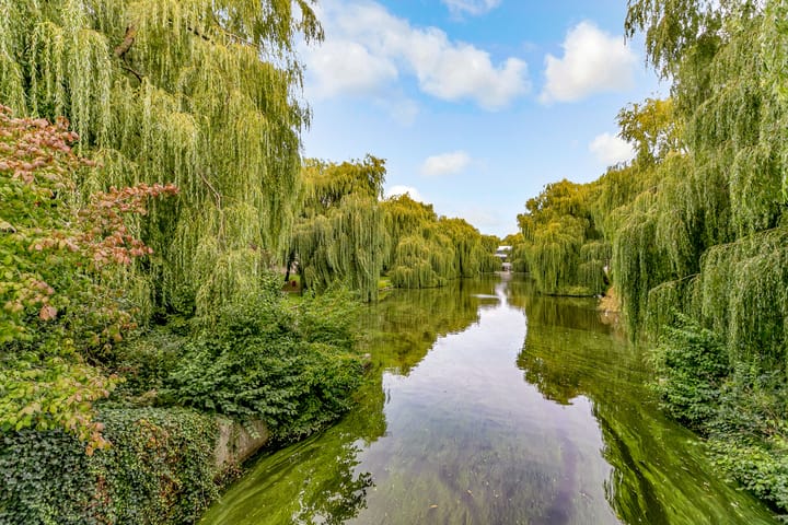 Foto 34 van Gleditsiastraat 65