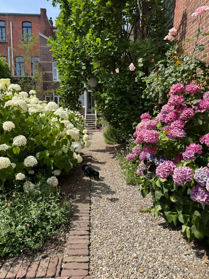 Photo 56 of Kaldenkerkerweg 27