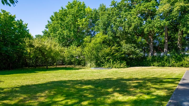 Photo 39 of Bornerbroeksestraat 366