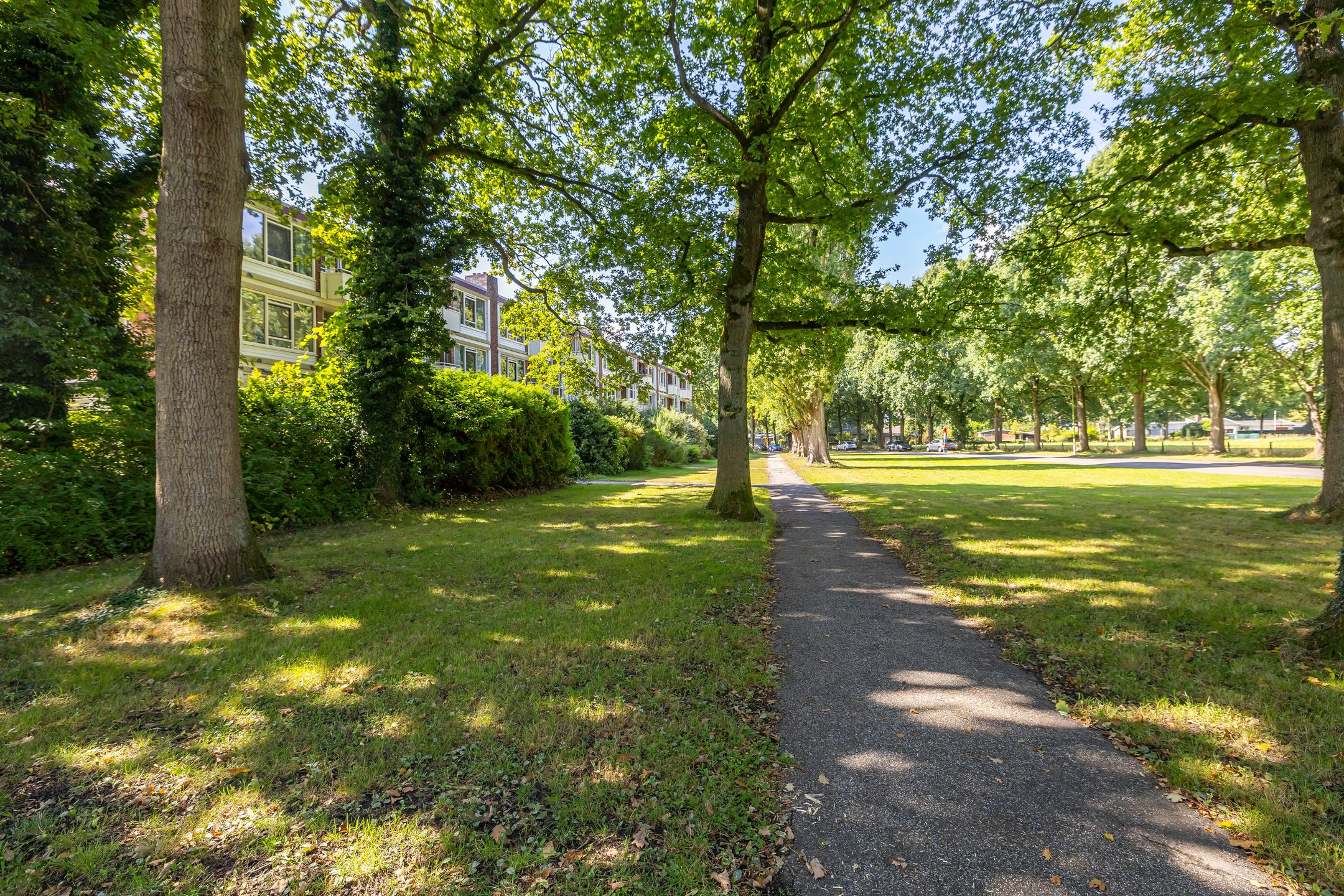 Foto 36 van Hertenlaan 49