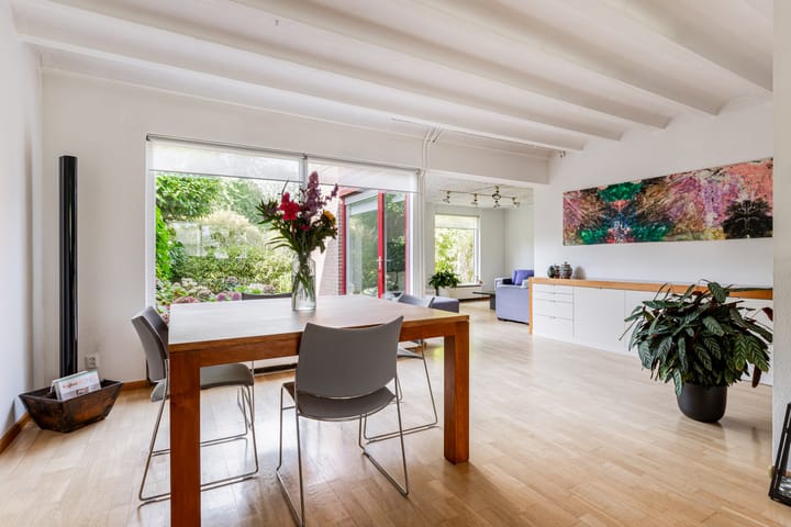 Photo 14 of Schouw 49 11