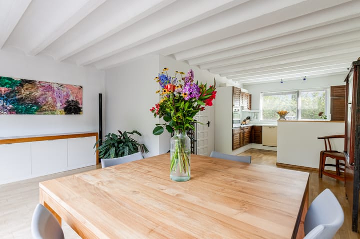 Photo 16 of Schouw 49 11