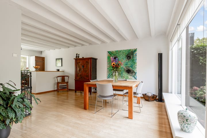 Photo 19 of Schouw 49 11