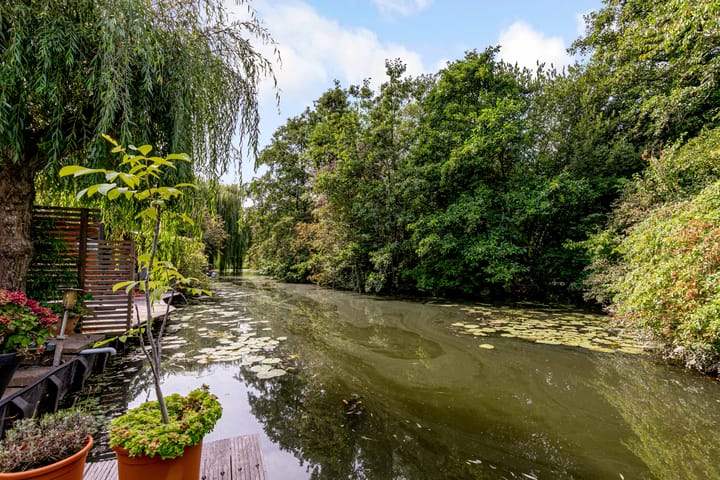 Photo 41 of Schouw 49 11