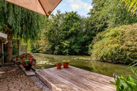 Schouw 49 11 tertiary image