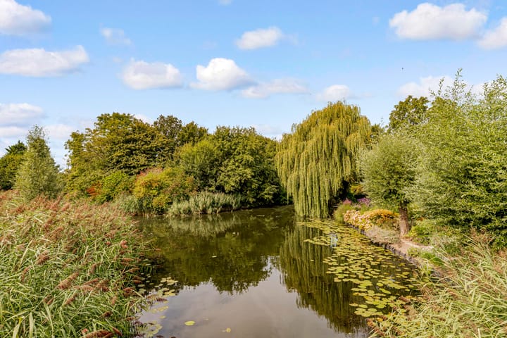 Photo 47 of Schouw 49 11