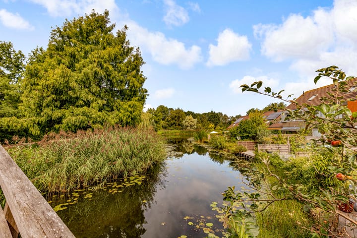 Photo 49 of Schouw 49 11